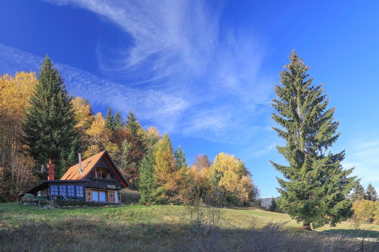 Fairytale Cottage - Peaceful Getaway Near Bled 지고르니예 고르예 외부 사진
