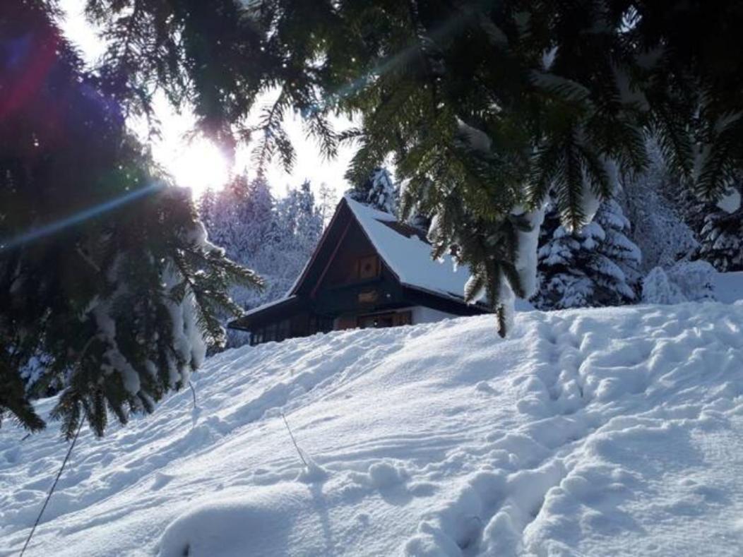 Fairytale Cottage - Peaceful Getaway Near Bled 지고르니예 고르예 외부 사진